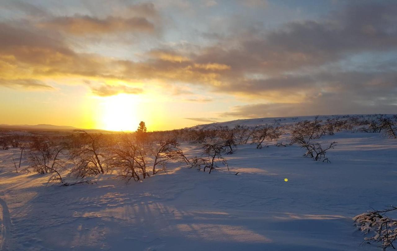 Arctic Lodge Hetan Kota Enontekiö Εξωτερικό φωτογραφία