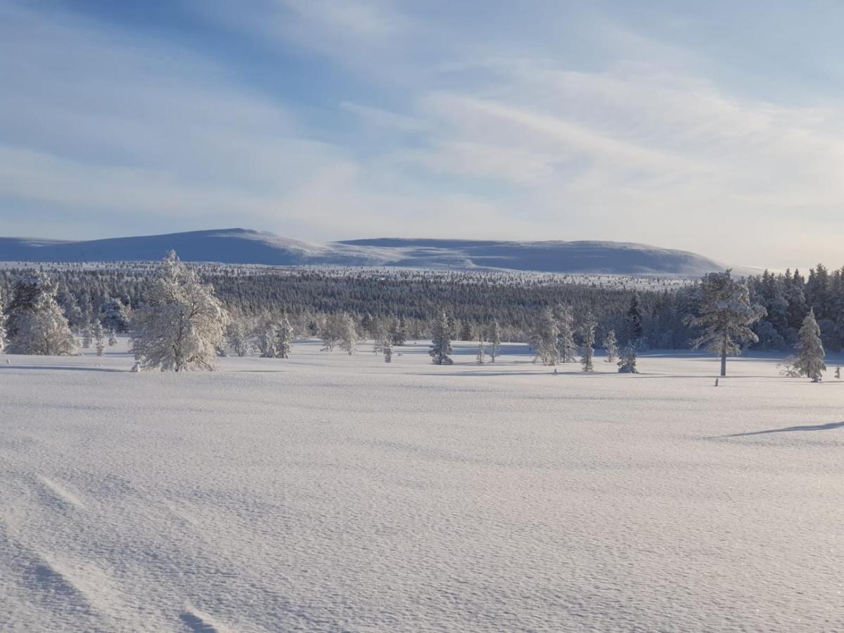 Arctic Lodge Hetan Kota Enontekiö Εξωτερικό φωτογραφία